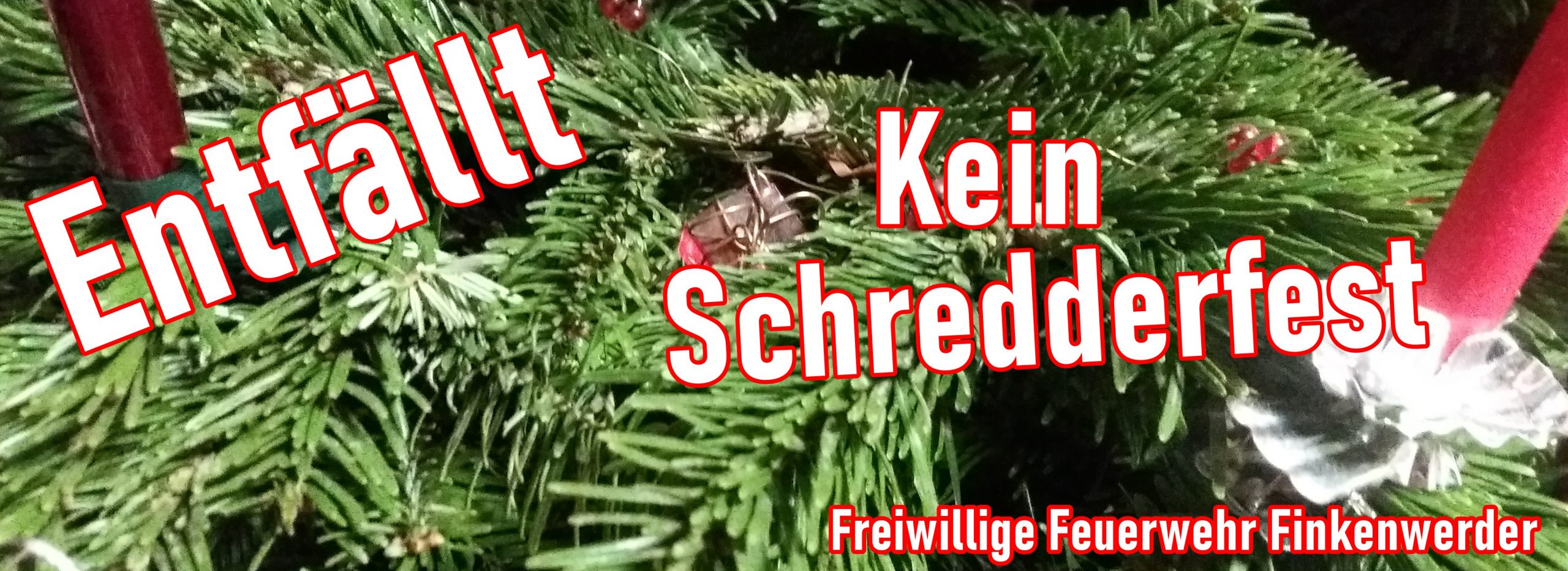 ff-schreed-1